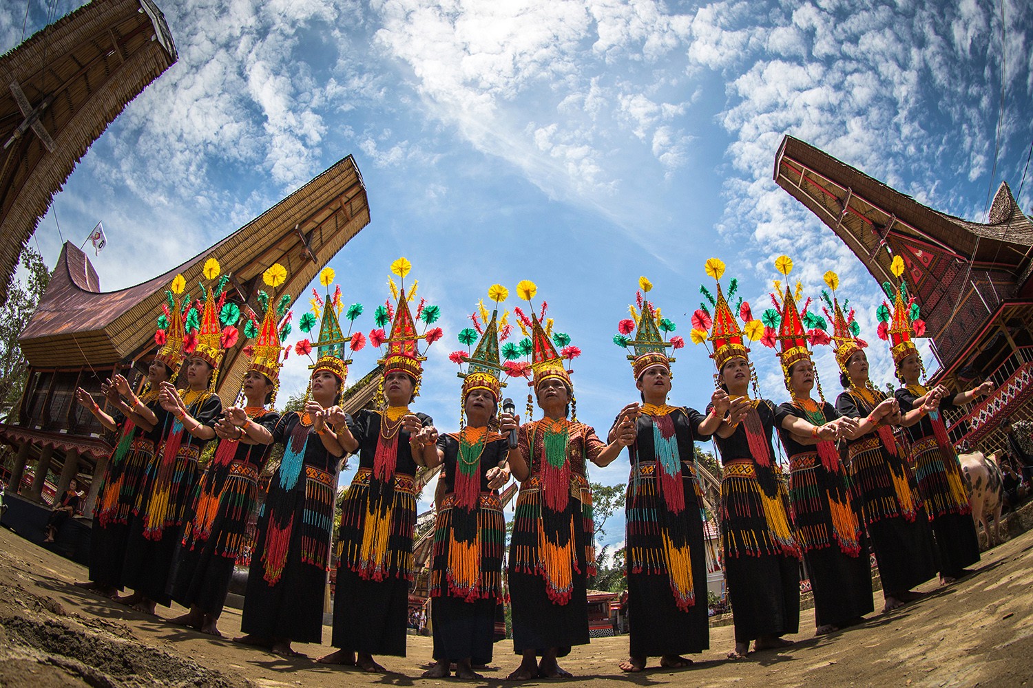 Ma'katia Dance: Traditional Dance in the Death Ritual of the Torajan ...