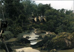 Entrance to a Torajan village showing ricefields and traditional houses.