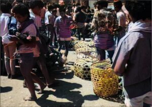 The market at Rantepao.
